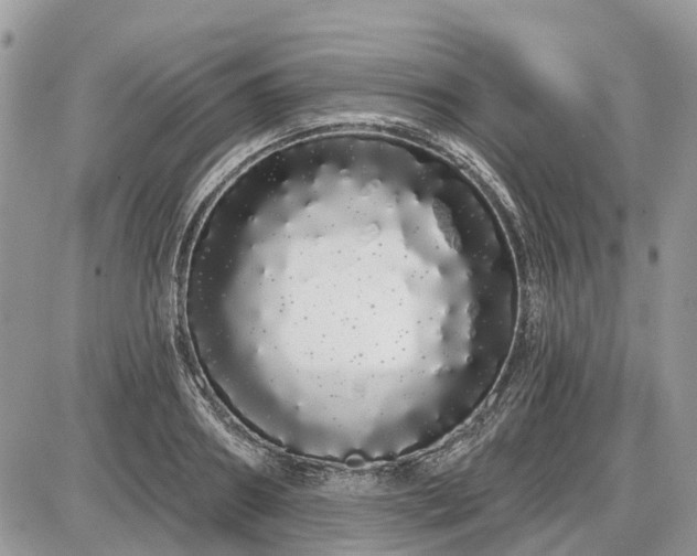 X0000086780890200704131211