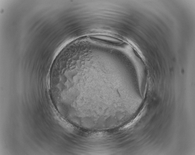 X0000086780891200704131211