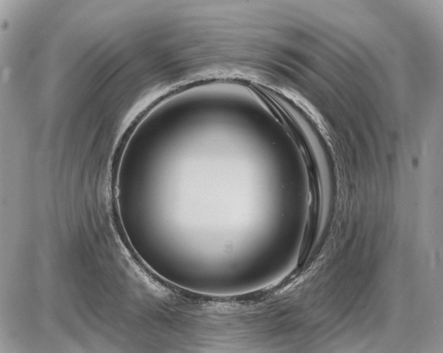 X0000086780894200704131211