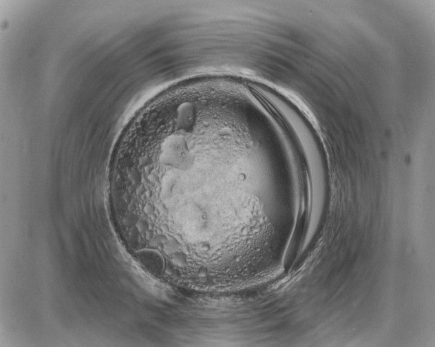 X0000086780895200704131211