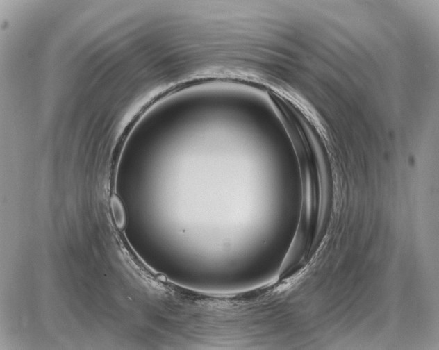 X0000086780896200704131211