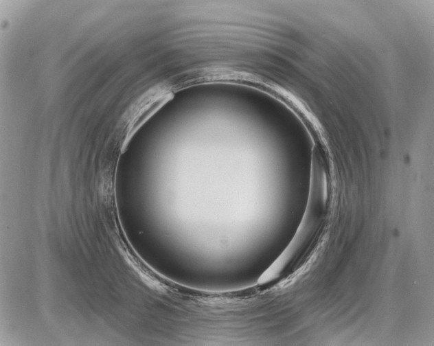 X0000086780897200704131211