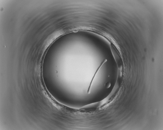 X0000086780898200704131211