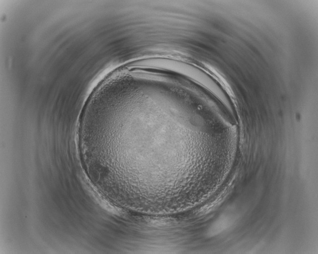 X0000086780899200704131211