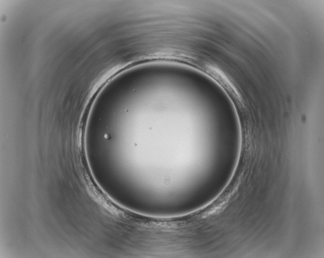 X0000086780900200704131211