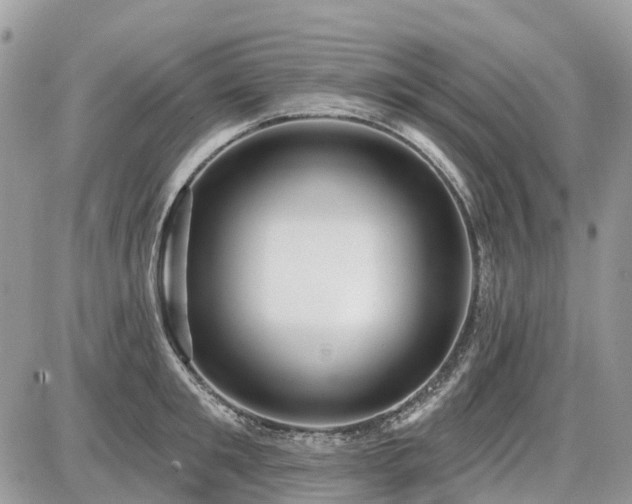 X0000086780901200704131211