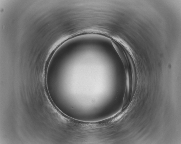 X0000086780902200704131211