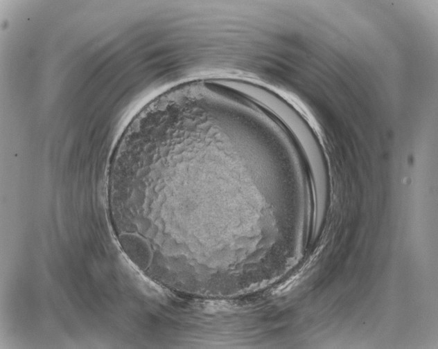 X0000086780903200704131211