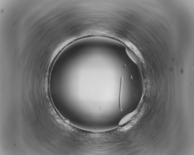 X0000086780904200704131211