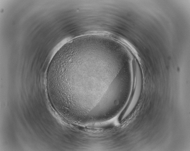 X0000086780907200704131211