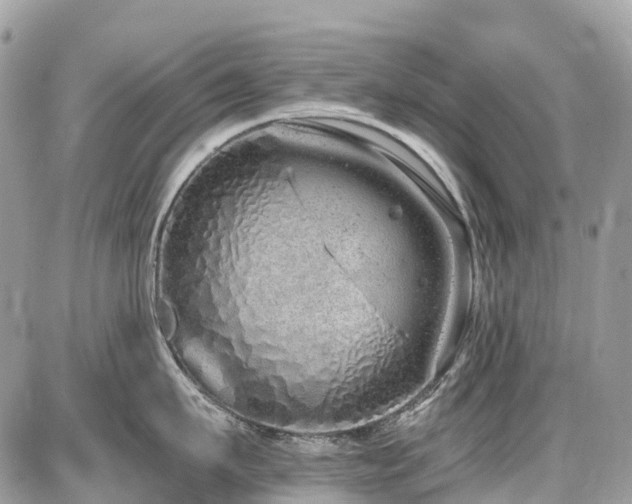 X0000086780911200704131211