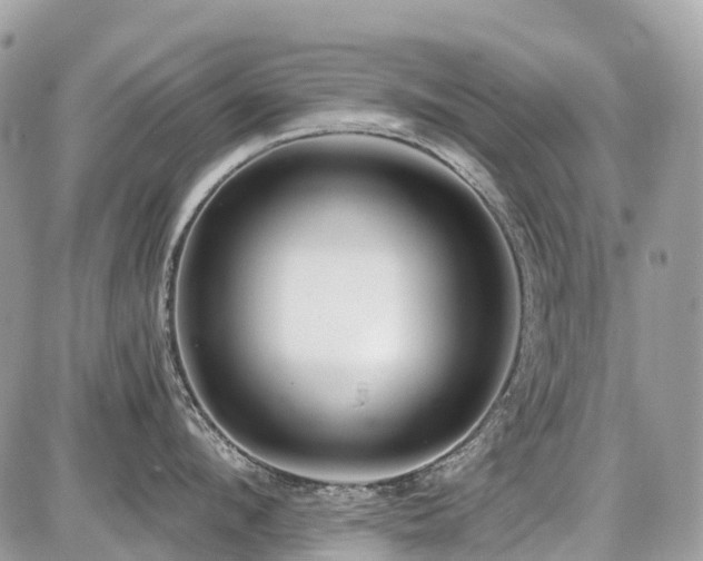 X0000086780912200704131211