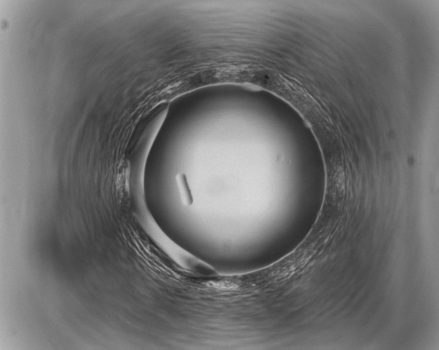 X0000086780914200704131210