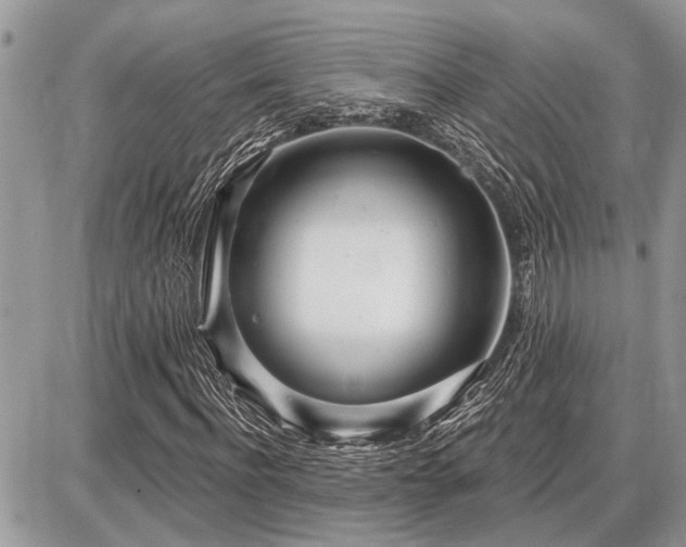 X0000086780916200704131210