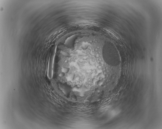 X0000086780917200704131210