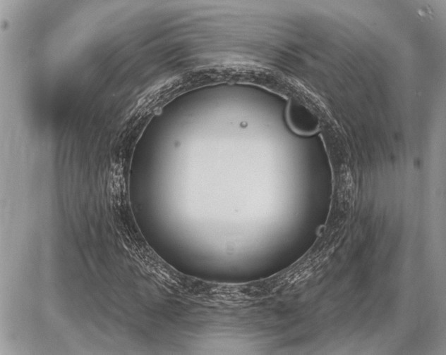 X0000086780918200704131210