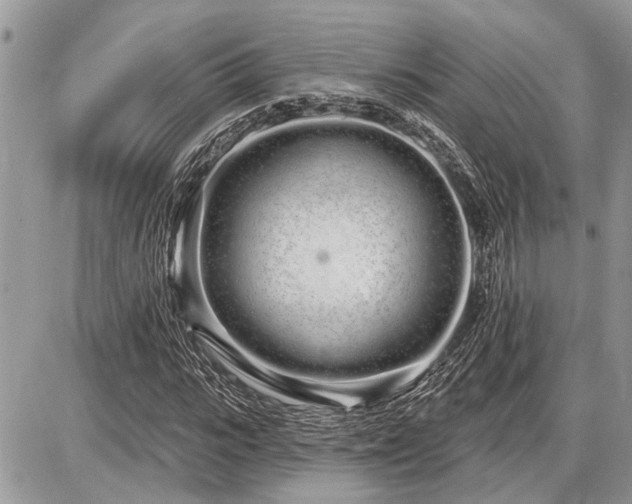 X0000086780919200704131210