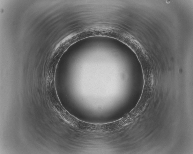 X0000086780920200704131210