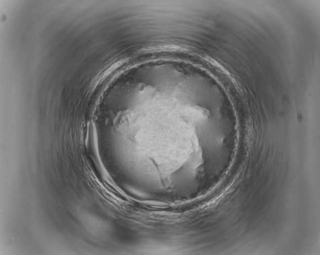 X0000086780921200704131210