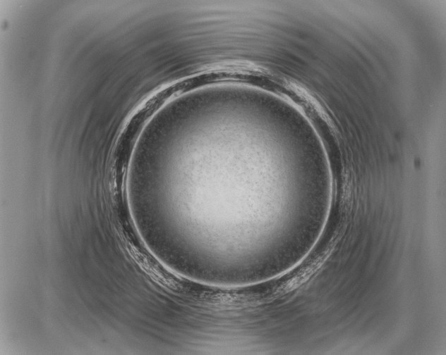 X0000086780923200704131210