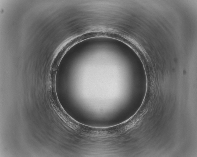 X0000086780927200704131210