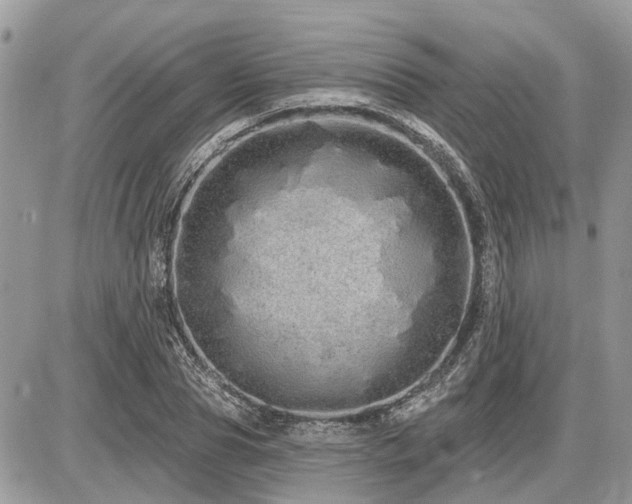 X0000086780929200704131210