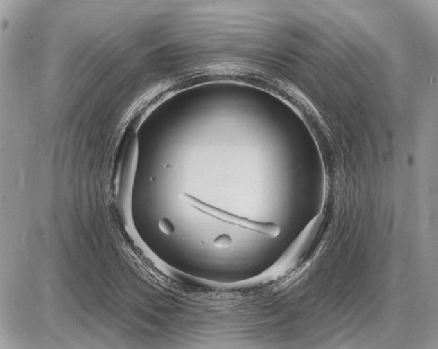 X0000086780930200704131210