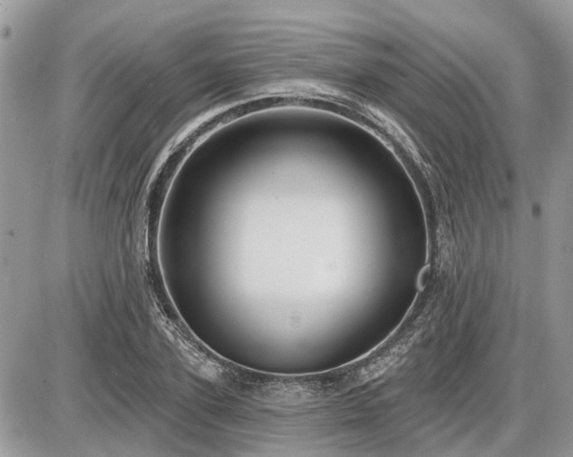 X0000086780931200704131210