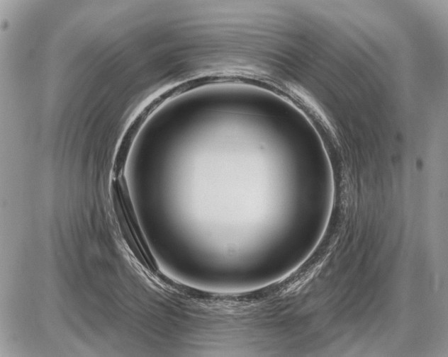 X0000086780932200704131210