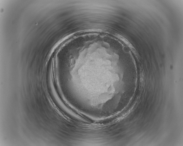 X0000086780933200704131210