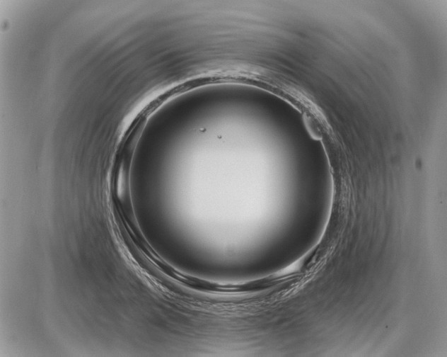 X0000086780936200704131211