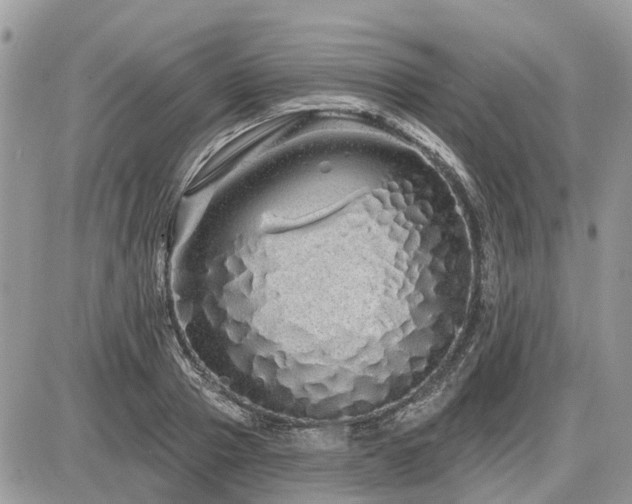 X0000086780937200704131211