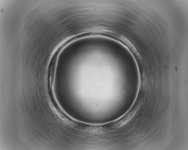 X0000086780939200704131211