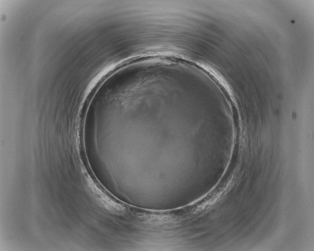 X0000086780941200704131211