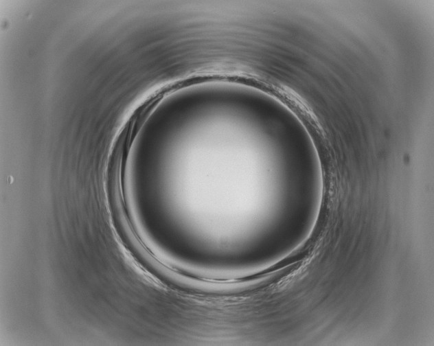 X0000086780942200704131211