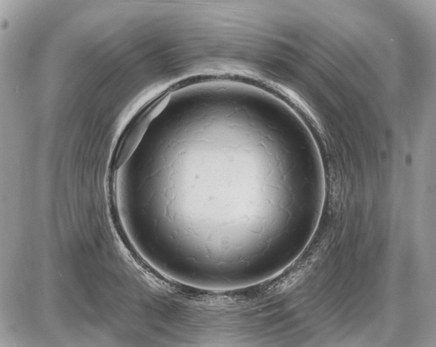 X0000086780943200704131211