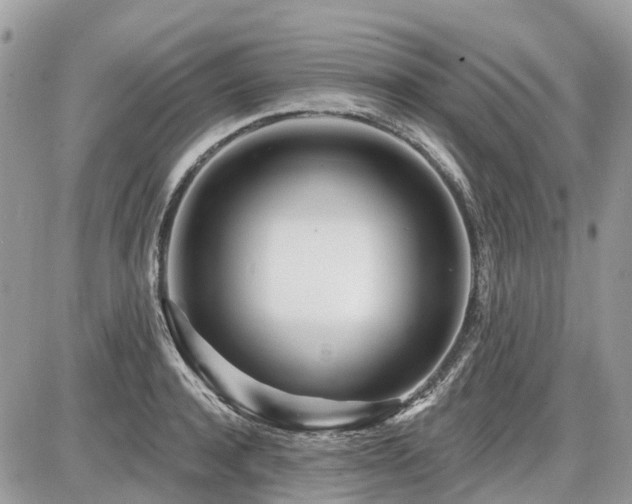 X0000086780944200704131211