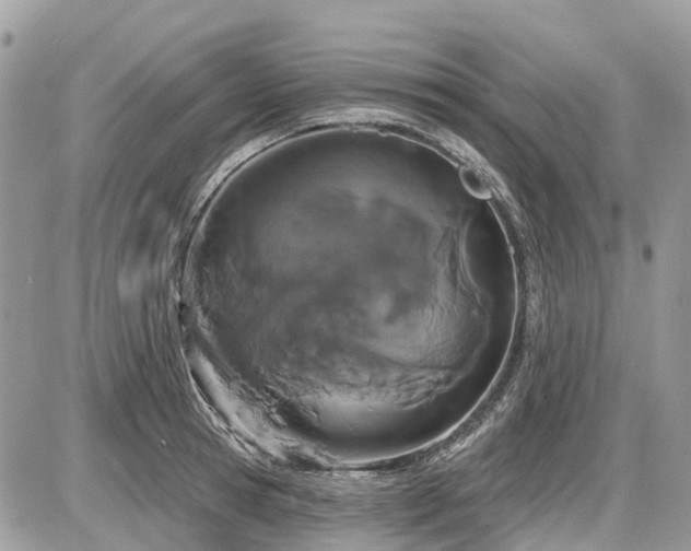 X0000086780945200704131211