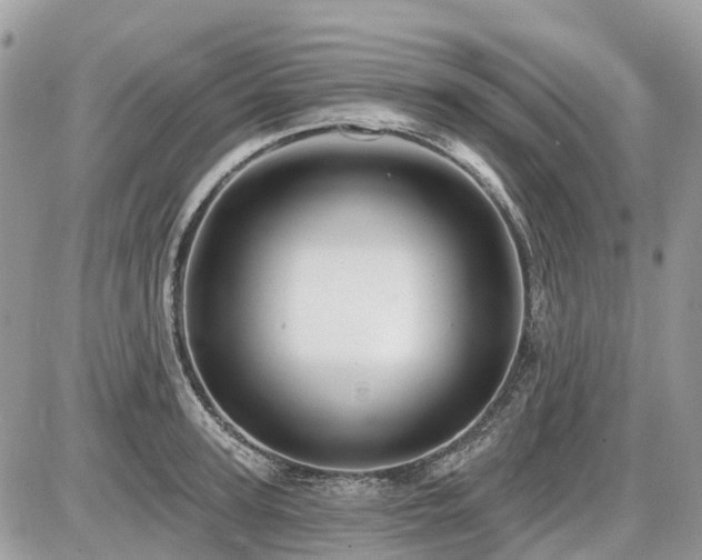 X0000086780947200704131211