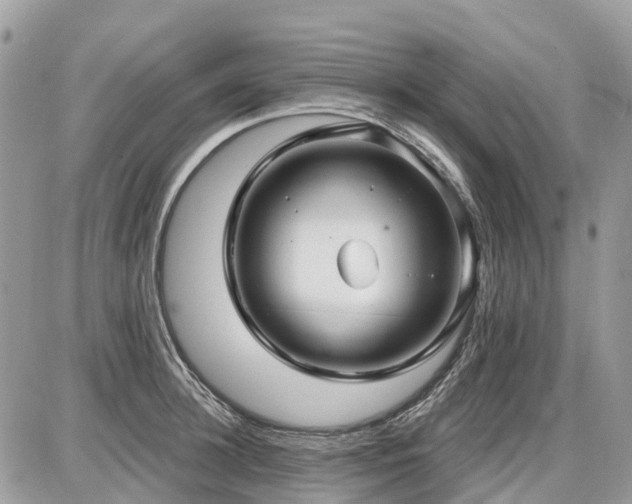 X0000086780948200704131211