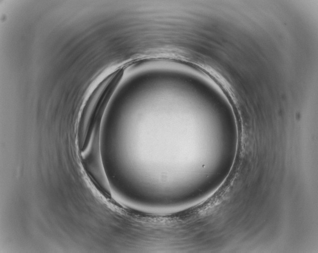 X0000086780949200704131211