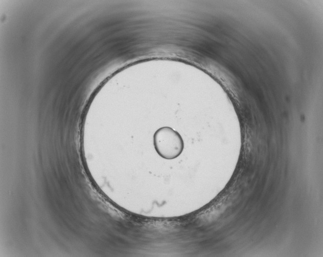 X0000086780950200704131211