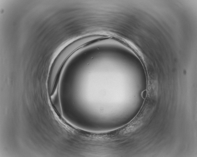 X0000086780951200704131211