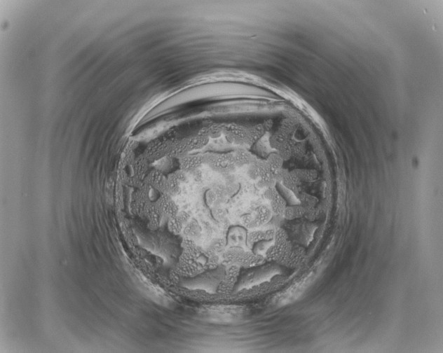 X0000086780953200704131211