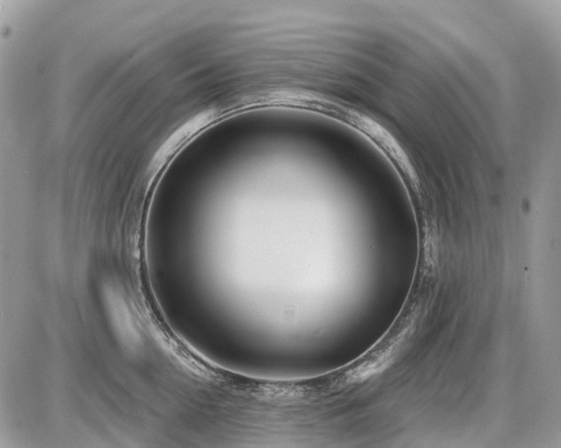 X0000086780954200704131211