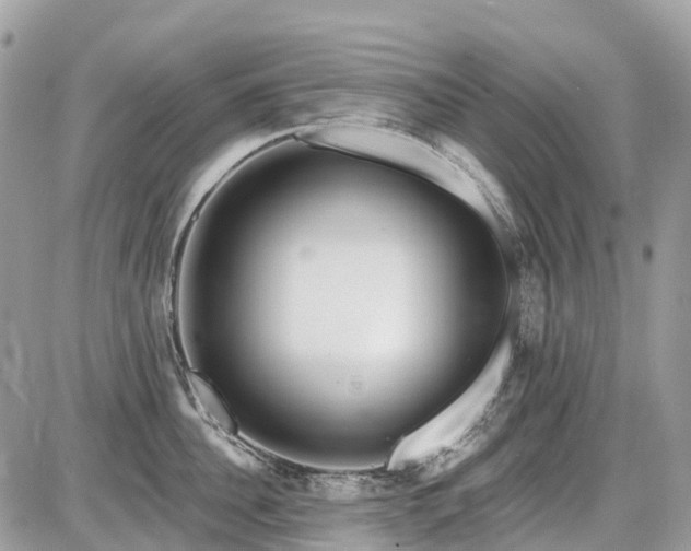 X0000086780956200704131211