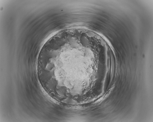 X0000086780957200704131211