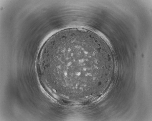 X0000086780958200704131211