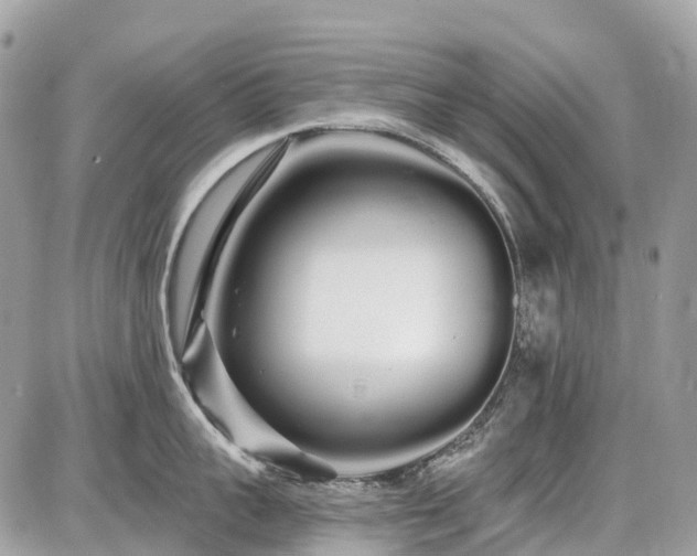 X0000086780959200704131211