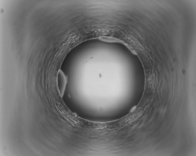 X0000086780961200704131210